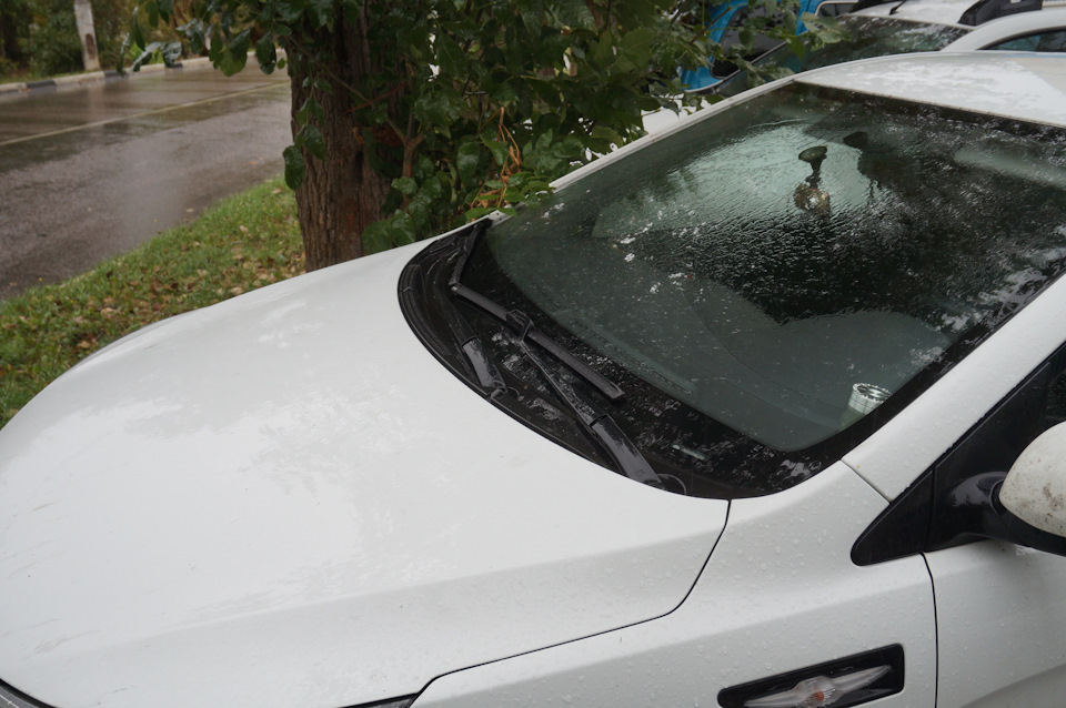 Фото в бортжурнале KIA Rio (3G)