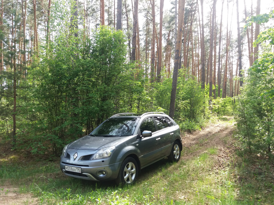 Фото в бортжурнале Renault Koleos (1G)