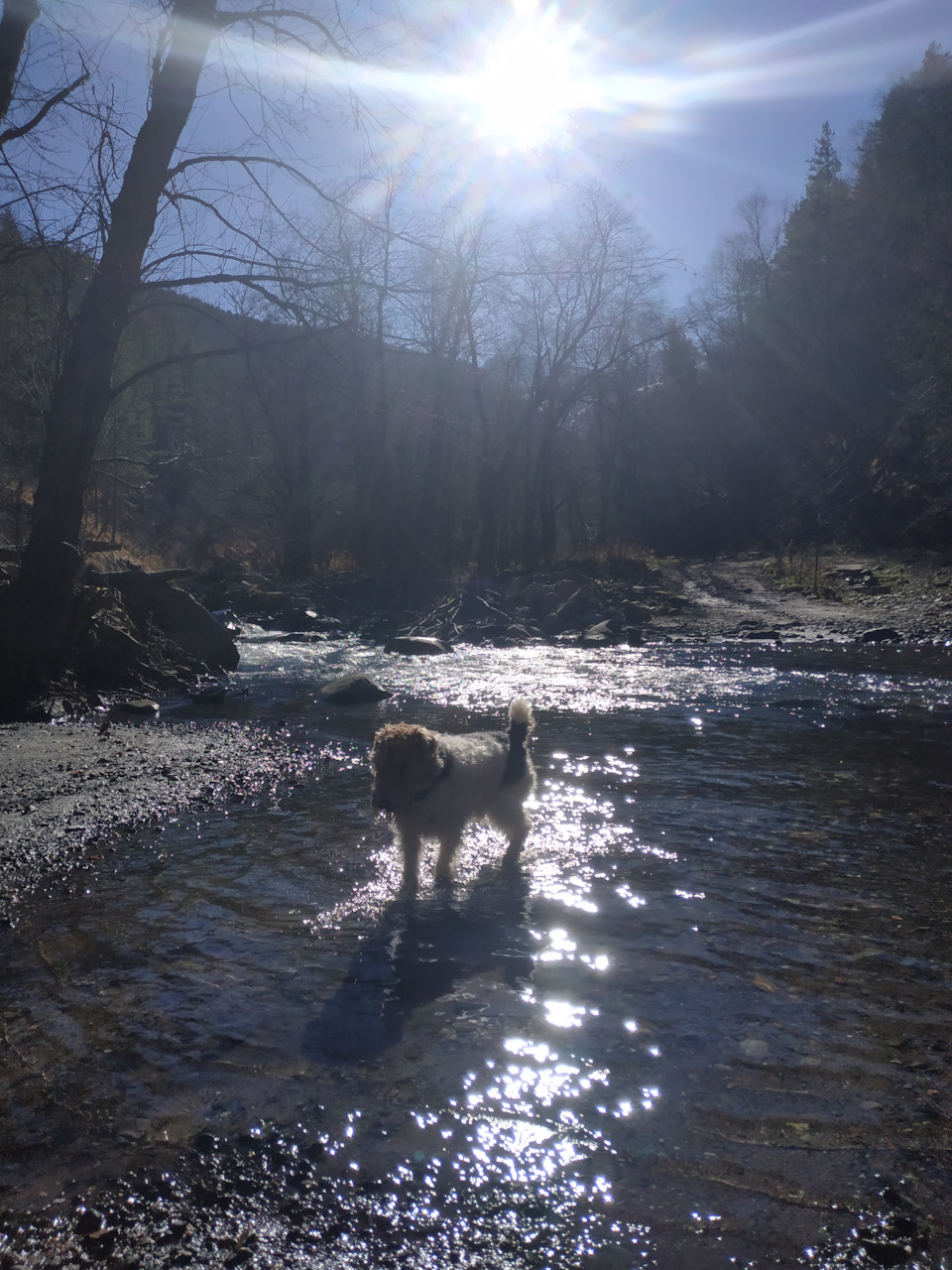 Фото в бортжурнале Mitsubishi Pajero (4G)