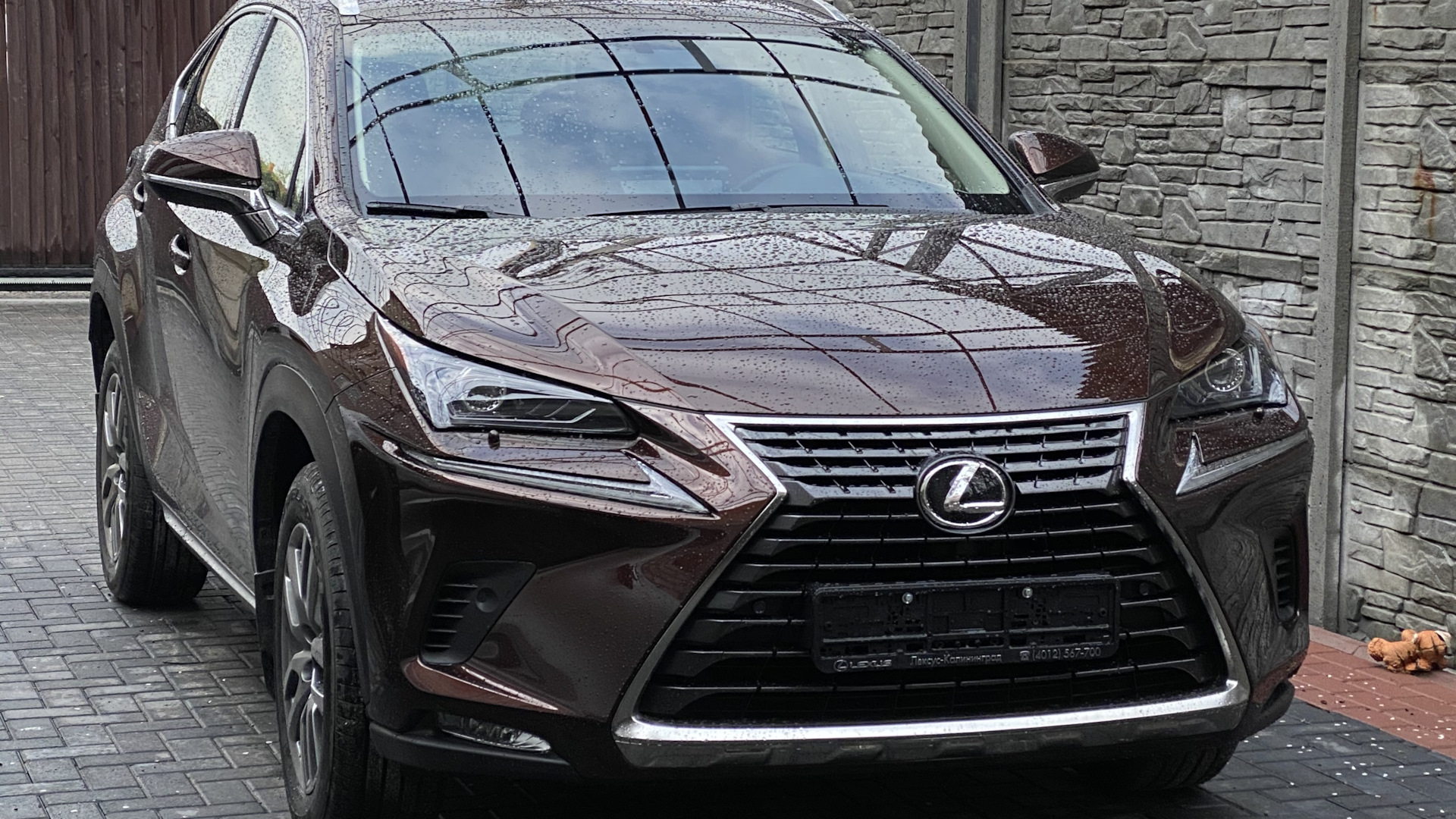 Lexus NX (1G) 2.0 бензиновый 2020 | Машина жены на DRIVE2