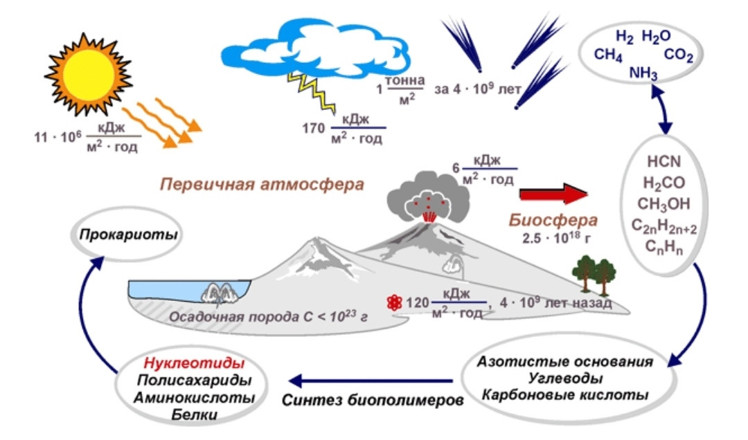Схема перехода химической эволюции в биологическую