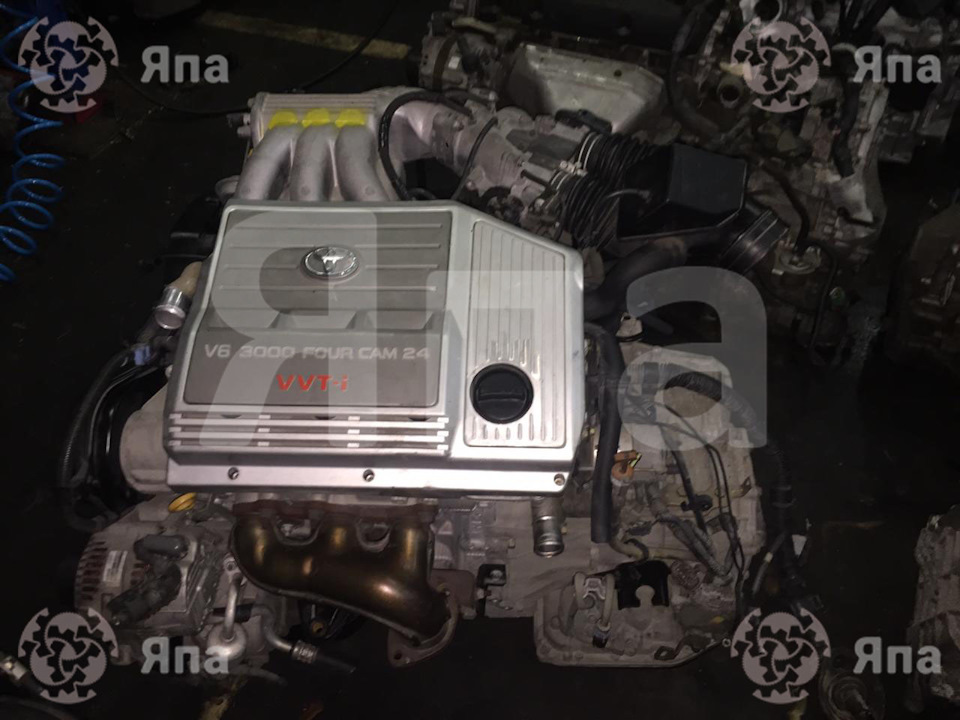 Мотор 1mz fe. 1mz-fe lexus pinout. 1mz-fe на лексус фото.