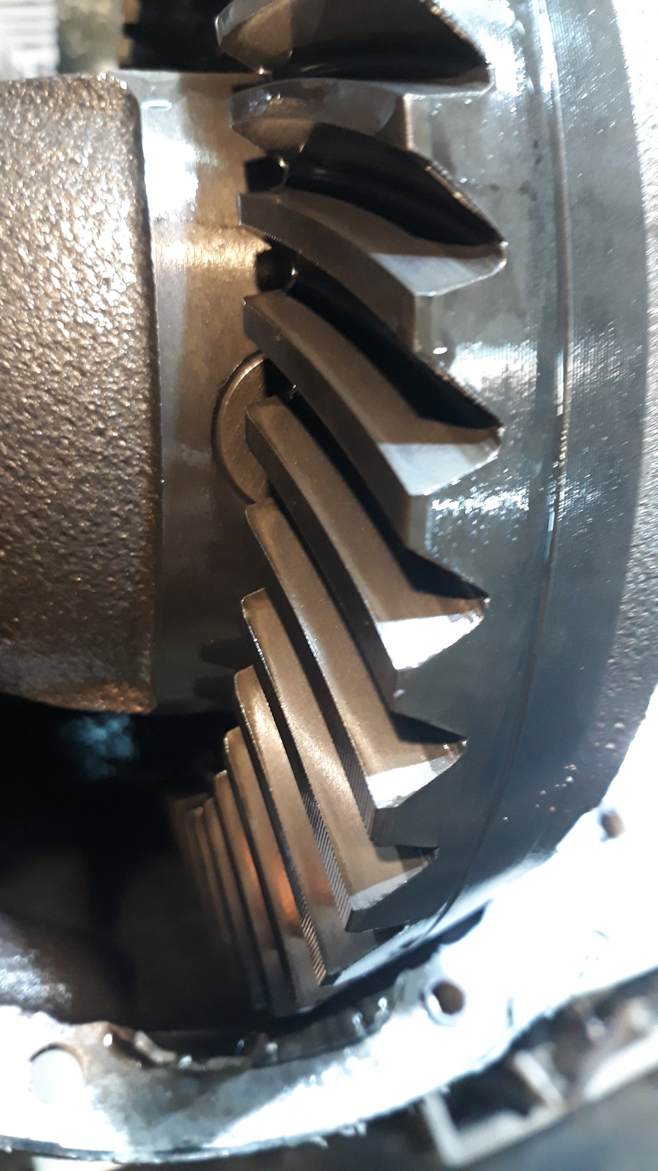 Фото в бортжурнале Isuzu Bighorn (II)