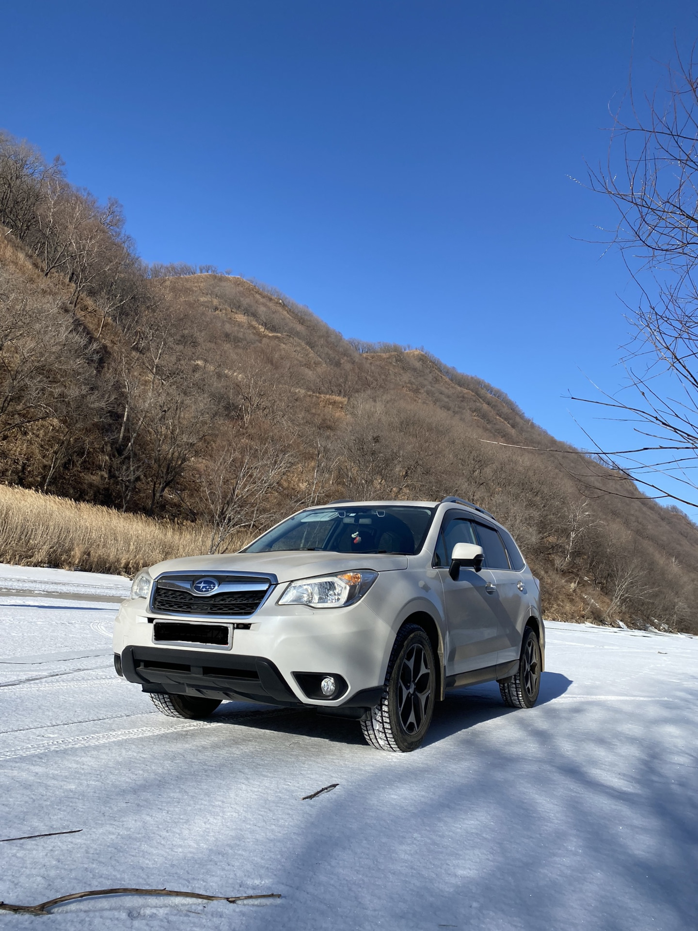 Goform Frozenero 225/60R18 — Subaru Forester (SJ), 2 л, 2014 года ...