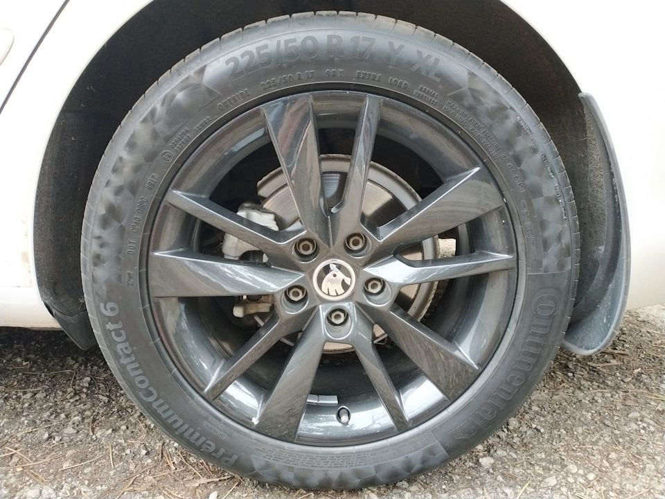 Фото в бортжурнале Skoda Octavia Combi A5 Mk2