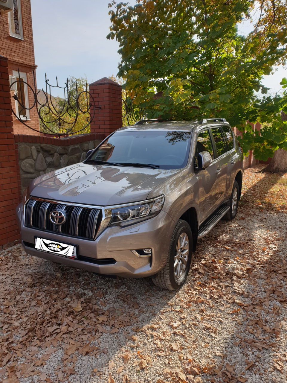 Нано-мойка. — Toyota Land Cruiser Prado 150-series, 2,8 л, 2019 года | мойка  | DRIVE2