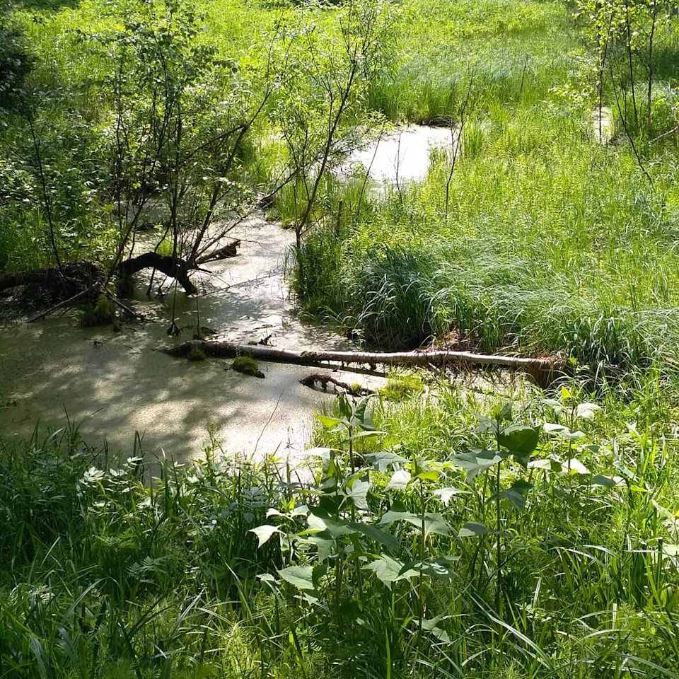 Фото в бортжурнале Suzuki Escudo (1G)