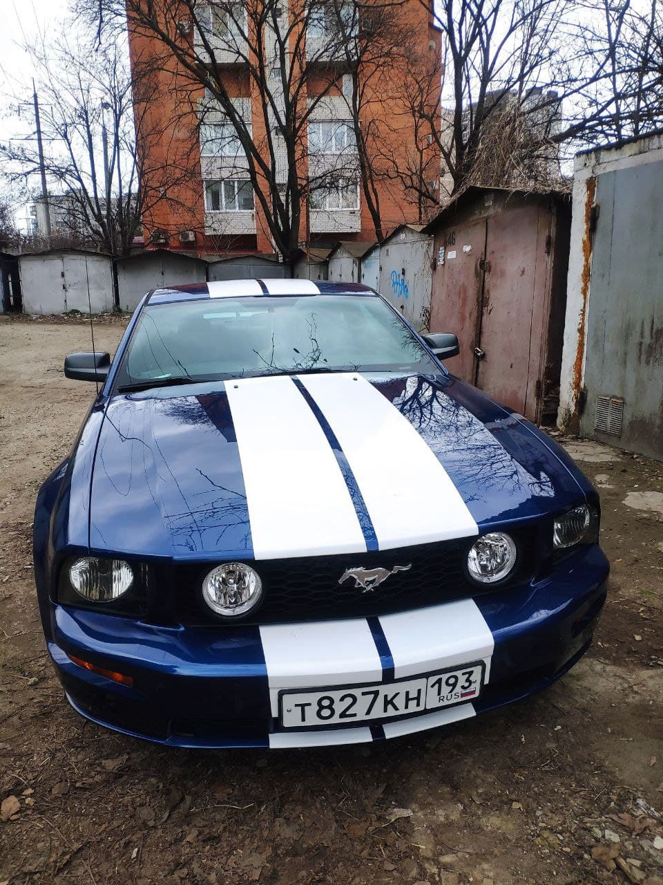 Наклейка полос — Ford Mustang (5G), 4,6 л, 2005 года | аксессуары | DRIVE2