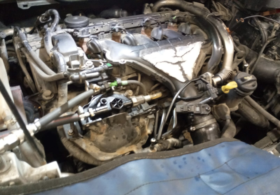 Фото в бортжурнале Ford Kuga (1G)