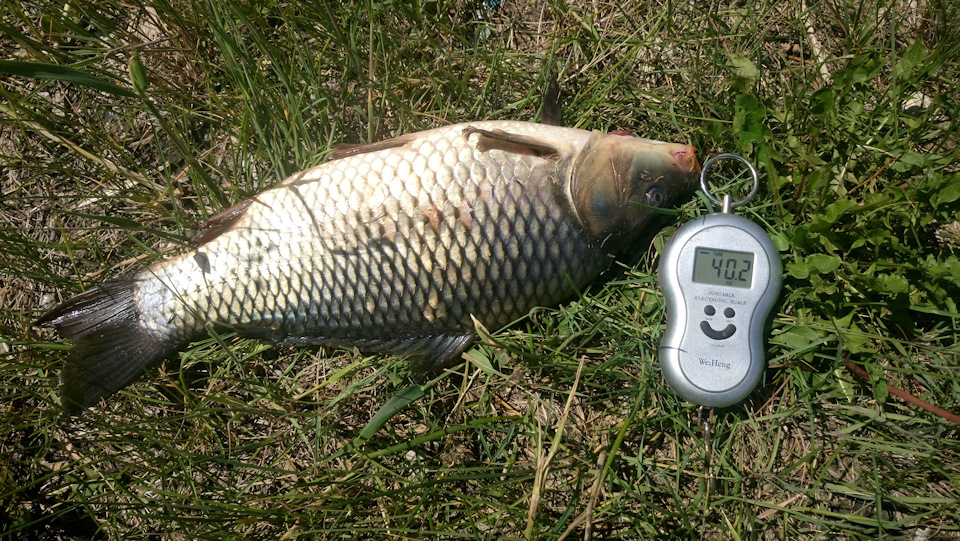 gAAAgAFA A 960 Как открыть багажник нивы изнутри