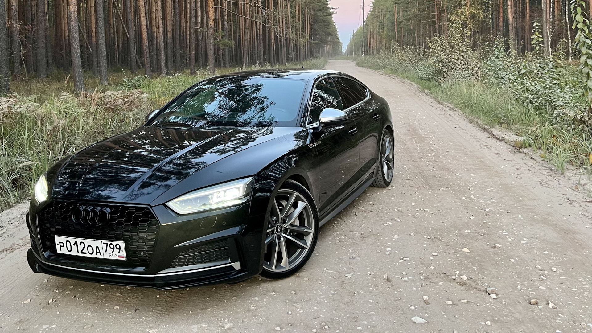 Audi A5 Sportback (2G) 2.0 бензиновый 2018 | 2.0 tfsi sport на DRIVE2