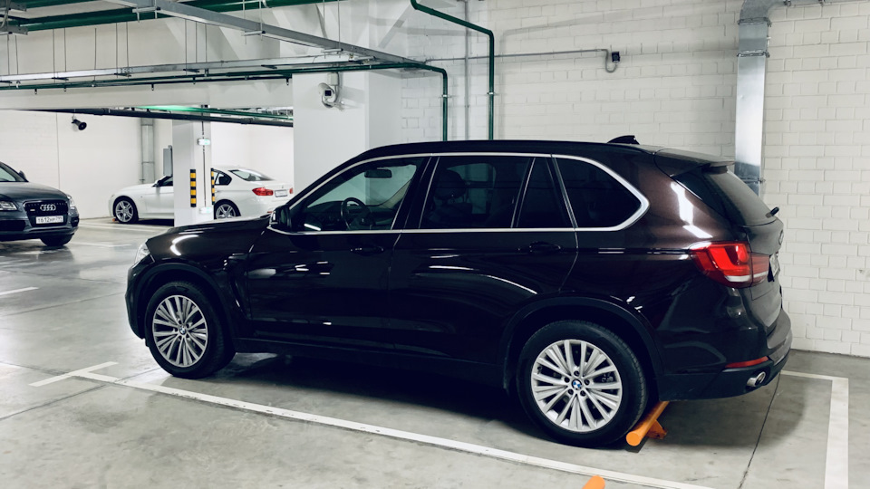 BMW X5 Papa Bear 🐻 N57