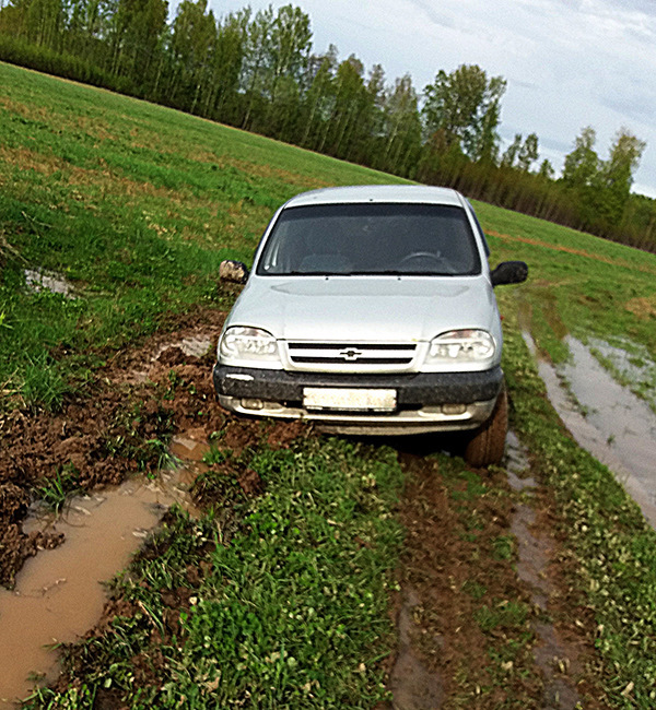 Штраф за езду без номеров 2020 на машине. Обязательные документы на машину. Документ о вступлении в наследство машины. Езда без номеров штраф. Гибдд по воронежской области машина.