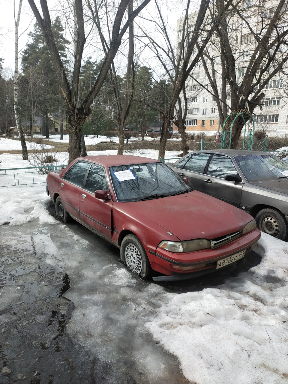 Машины поселка Светлый. — Сообщество «Брошенные Машины» на DRIVE2