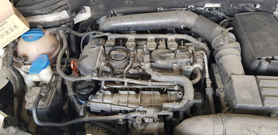 Замена масла и свечей - SEAT Leon (Mk II), 1,8 л, 2012 года плановое ТО DRIVE2