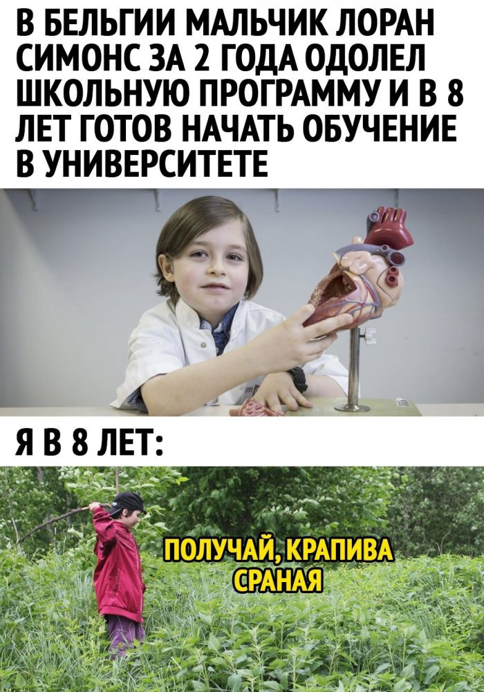 Kartinki Soobshestvo Pozitivov Zy Na Drive2