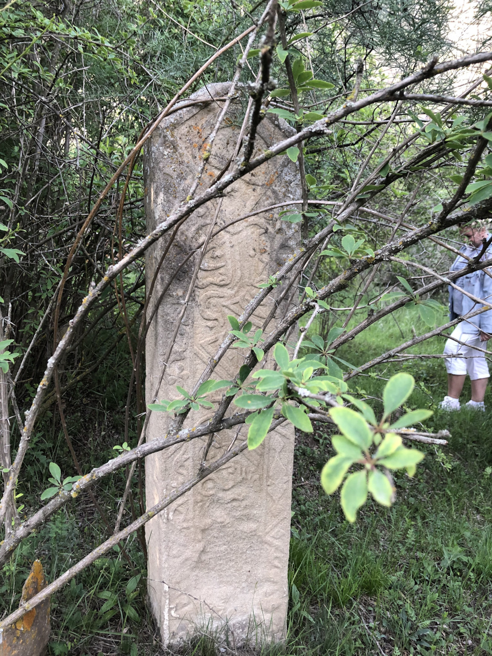 19 — KIA Sorento (2G)