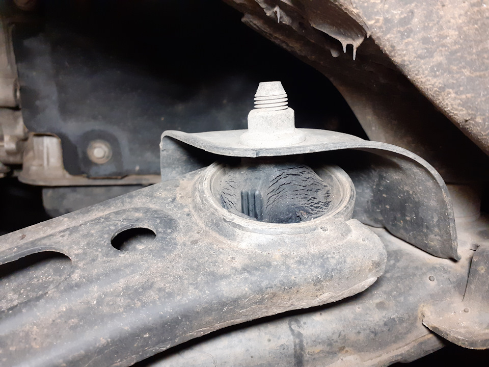 Фото в бортжурнале Subaru Outback (BR)