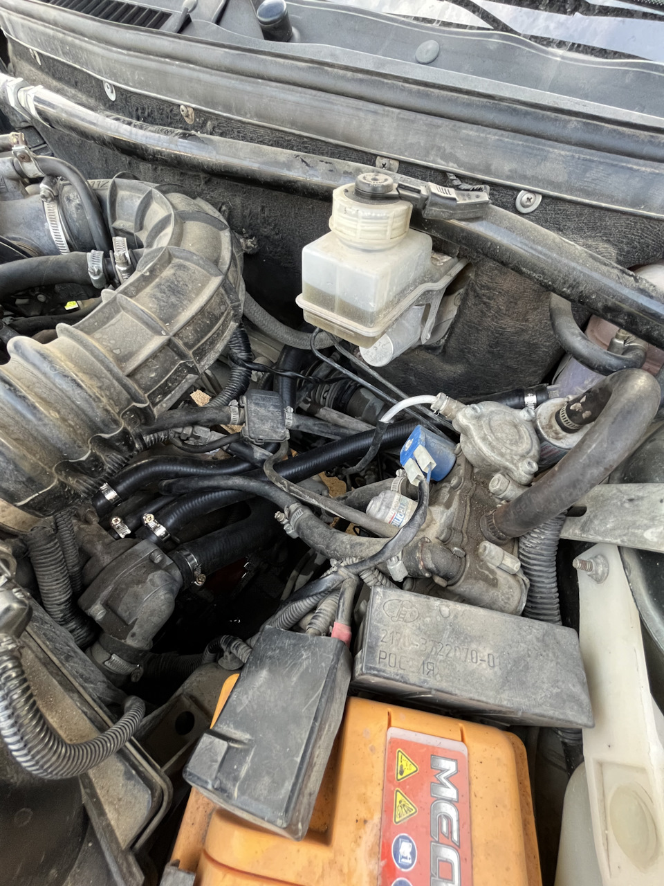 Замена патрубков ОЖ — Lada Приора седан, 1,6 л, 2009 года | запчасти ...