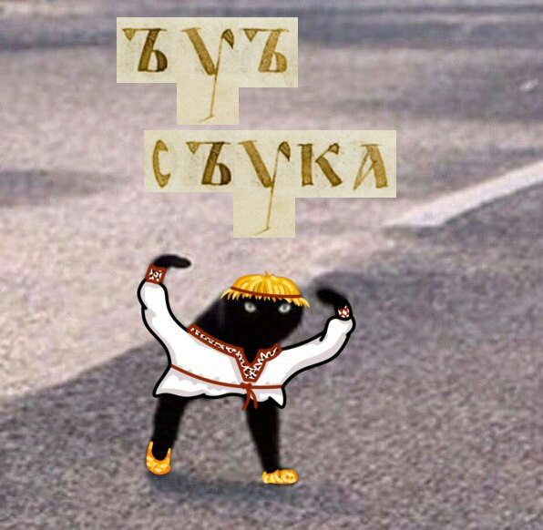 Ъуъ кот мем