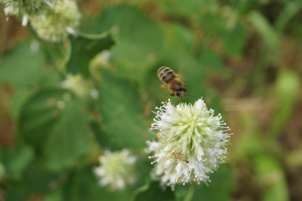 Фото в бортжурнале Nissan Murano II