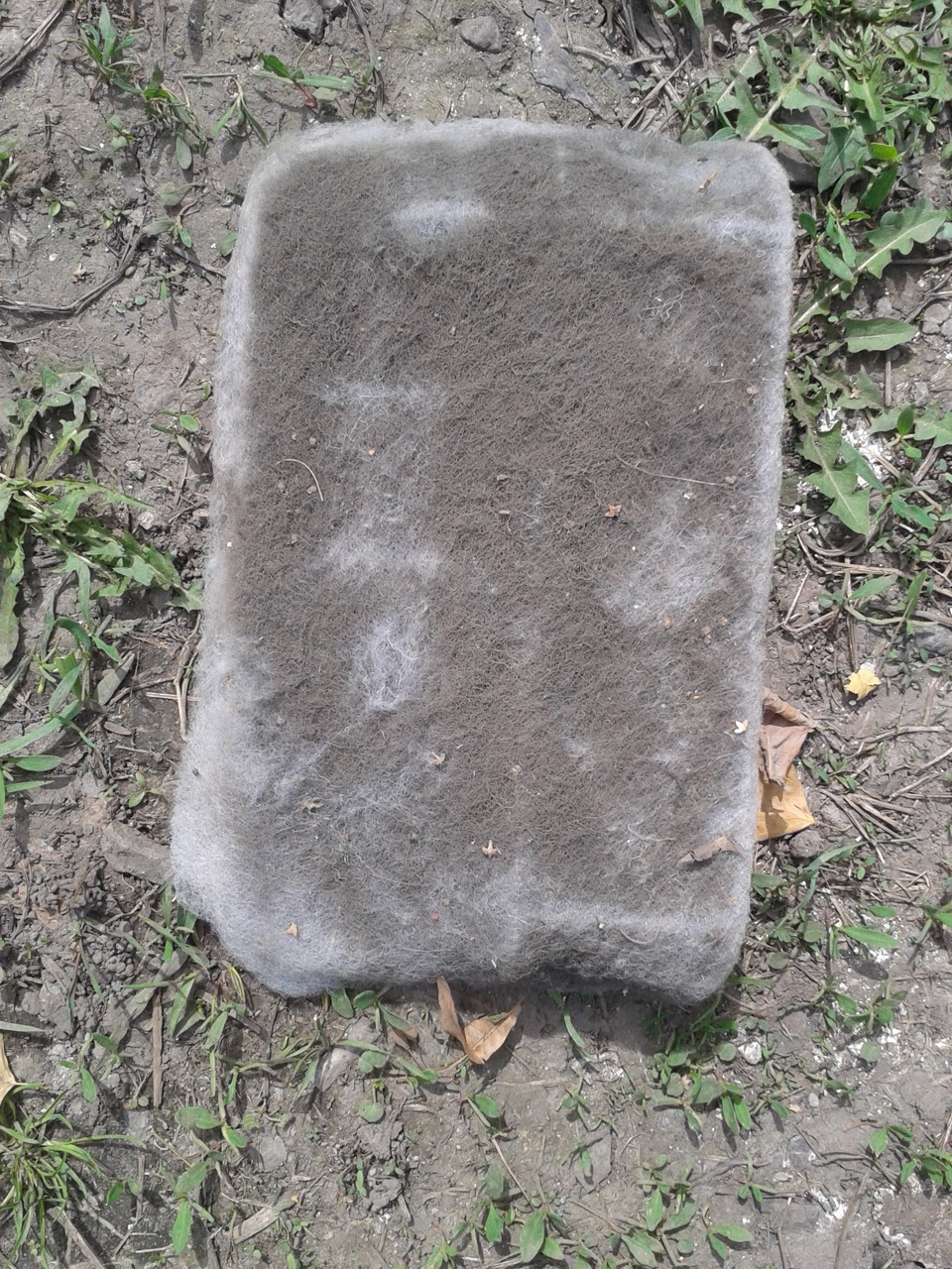 Продолжаем менять расходники) — Lada 2114, 1,6 л, 2009 года ...