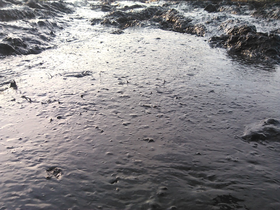 лужи на улице. камни в луже грязной воды стоковое. грязная лужа. человек с дождем в ботинках. обои дождь.
