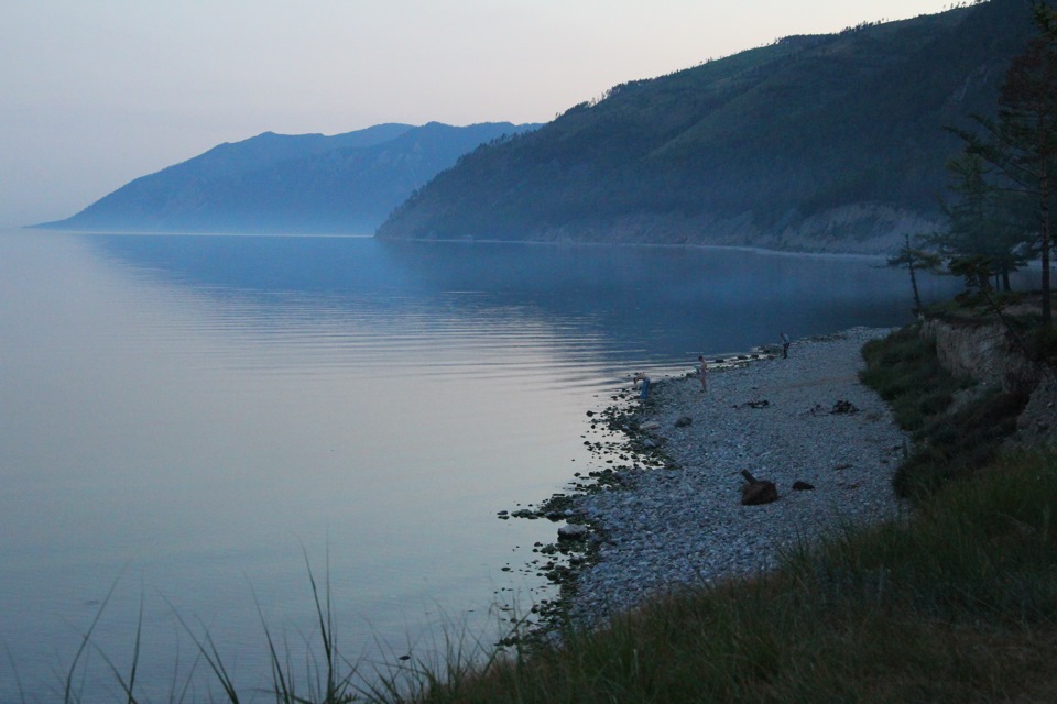 Большое голоустное байкал фото