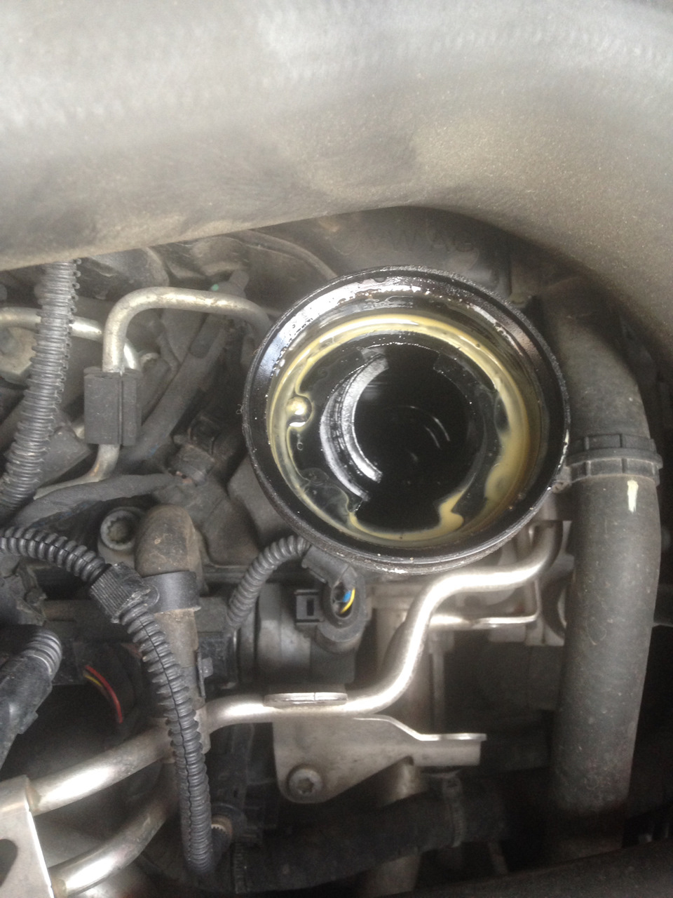 Какая то эмульсия под масляной крышкой — Volkswagen Caravelle (T5), 2 л ...