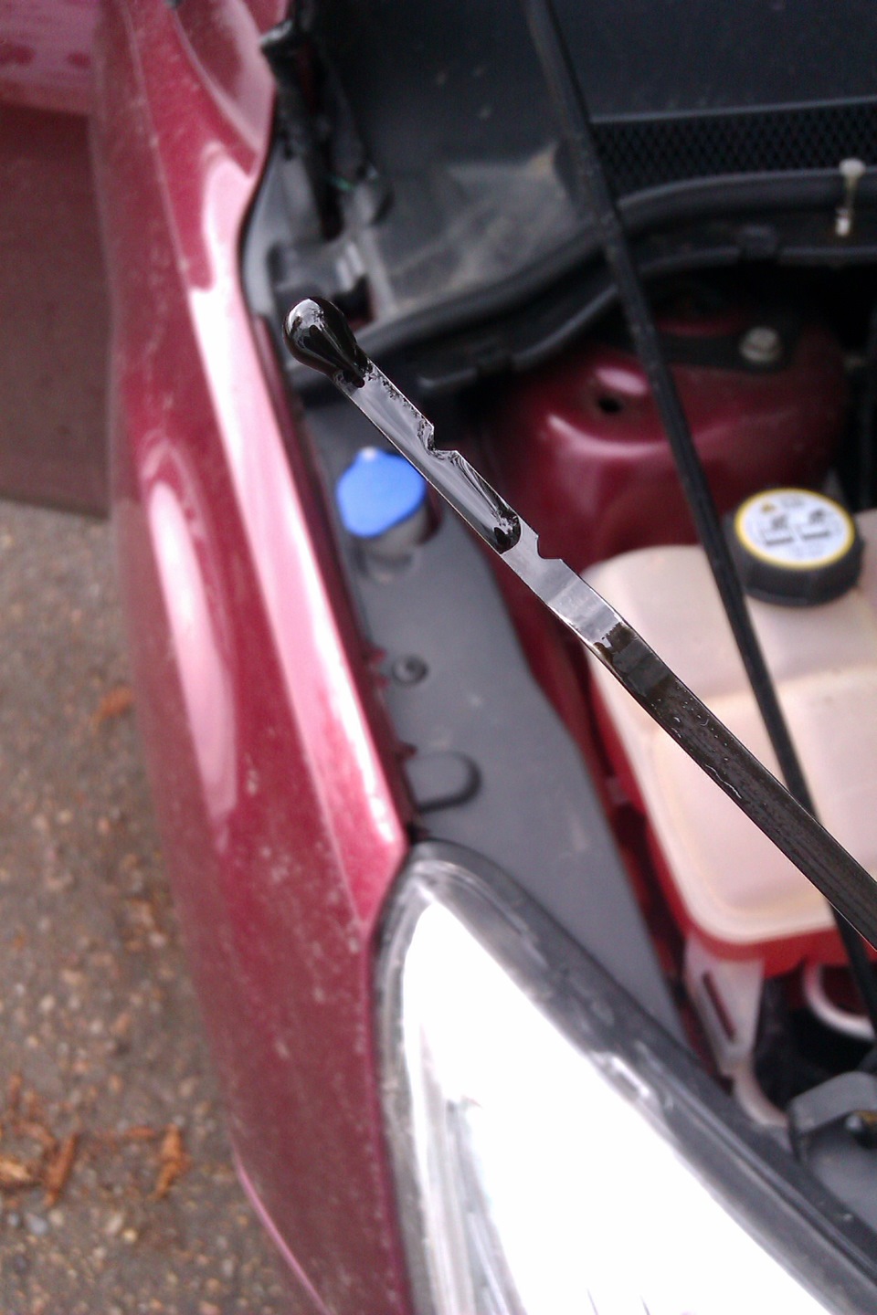 Промывка системы вентиляции картера и новые воздухан и губка — Ford ...