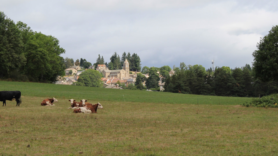 Идем на прогулку. В пешей доступности находится небольшое озерцо, к сожалению огороженное забором. Вокруг – зеленые горы, лес, ветряки. — Audi A4 (B9)