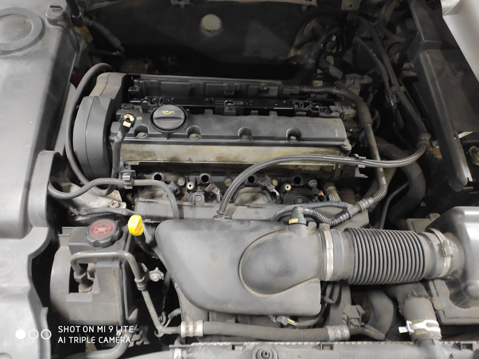 Промывка диагностика форсунок на стенде. — Citroen Xsara, 2 л, 2001 ...