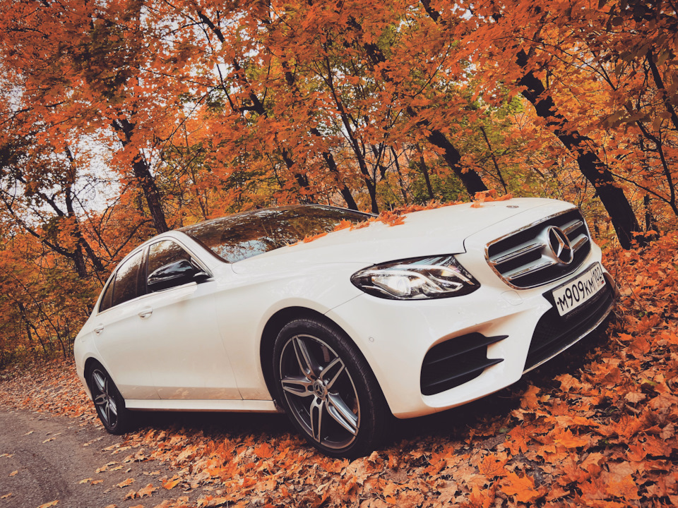 Осенние краски — Mercedes-Benz E-class (W213), 2 л, 2019 года ...
