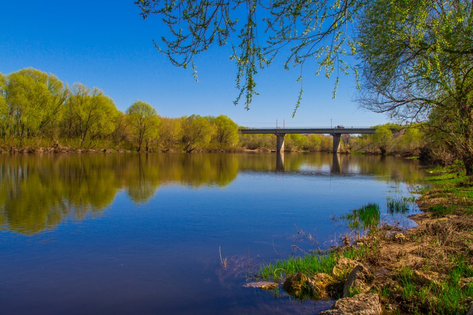 Фото дона реки