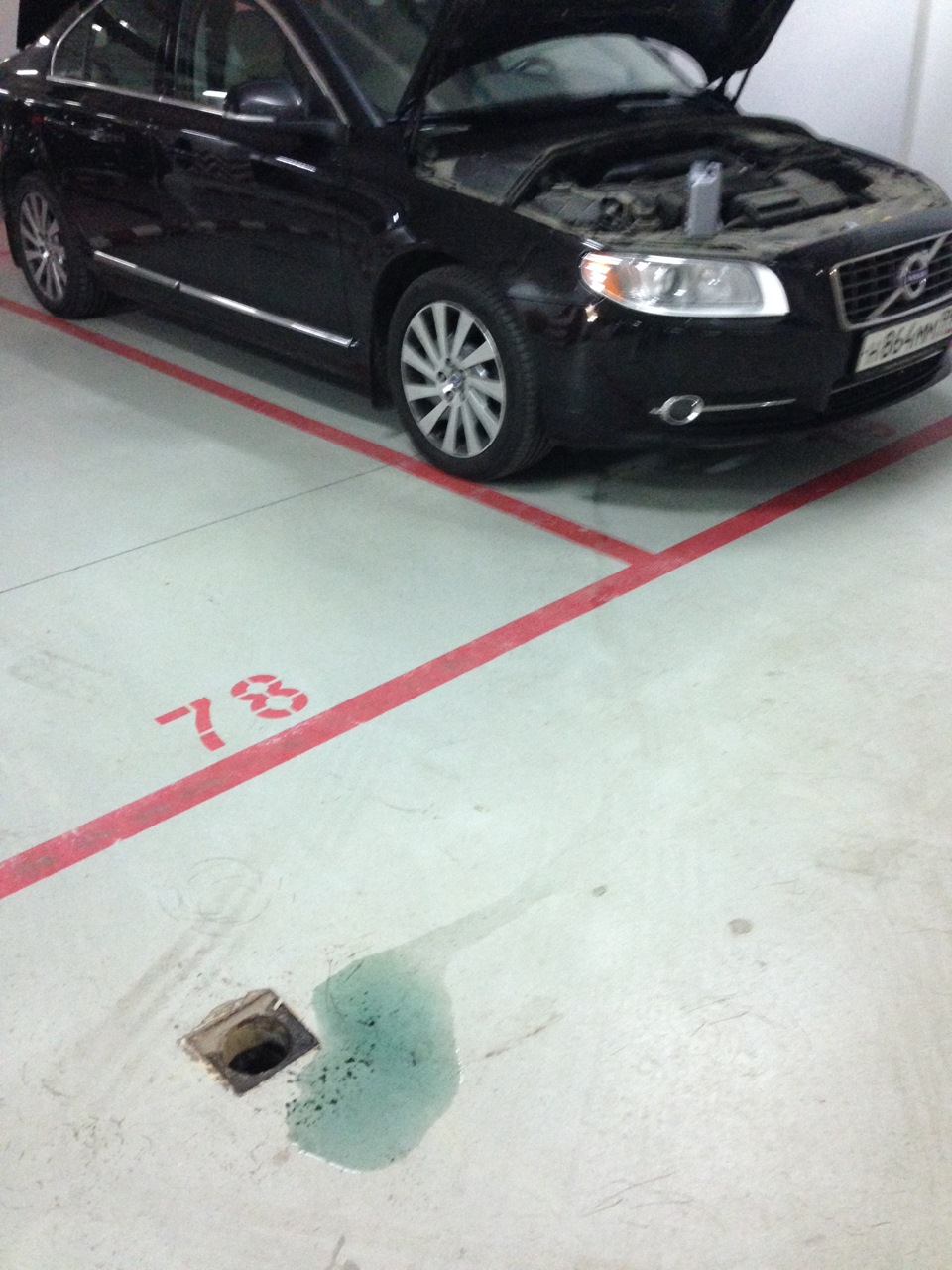 Поломка: Система охлаждения и топливный насос (?) + отзыв об ОД Musa ...