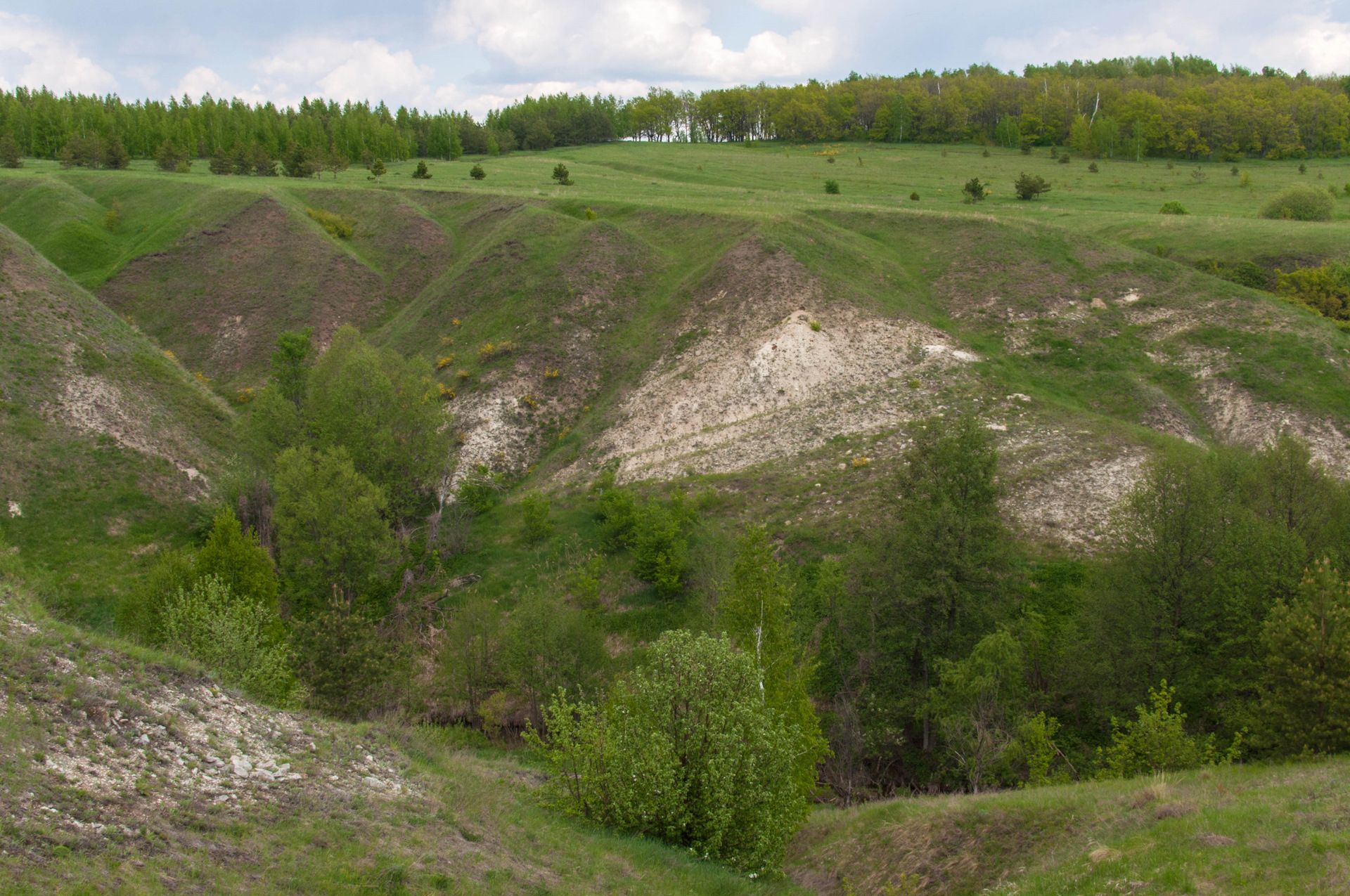 Погода в гремячке. Погода в гремячке. Тсж новые гремячки. Усадьба гремячка. Старая малиновка.