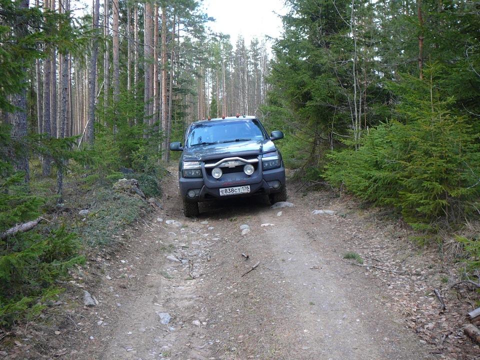 Покатался по лесу. — Chevrolet Avalanche (GMT800), 5,3 л, 2004 года ...
