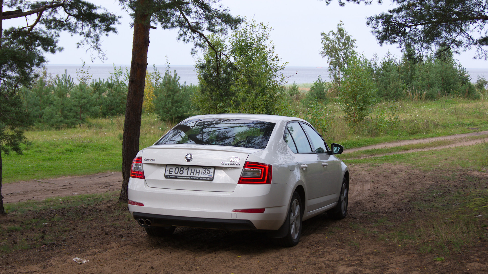 Skoda Octavia A7 Mk3 1.8 бензиновый 2014 | Belaya Medveditsa на DRIVE2