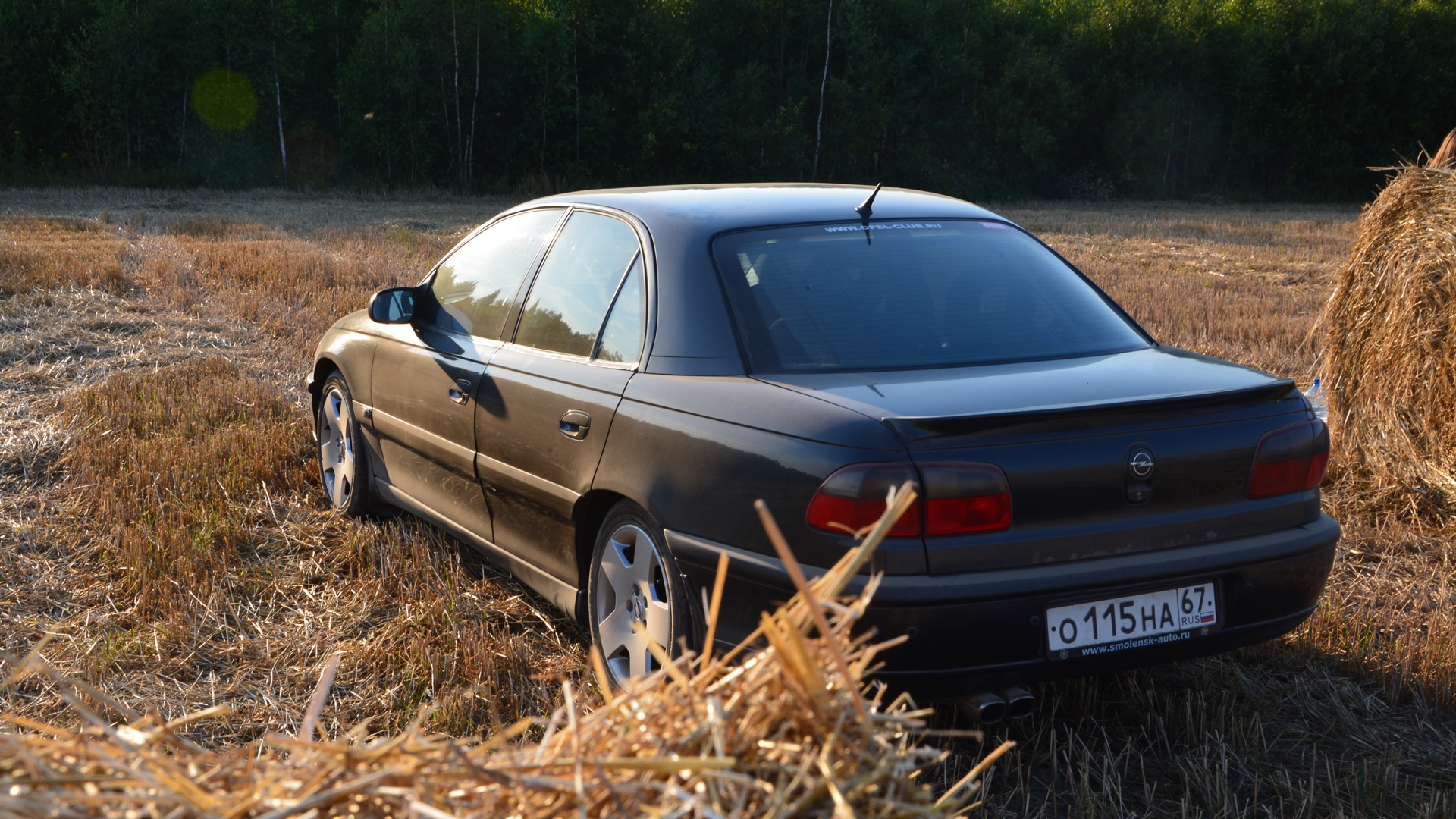 Opel Omega B 2.0 бензиновый 1995 | на DRIVE2