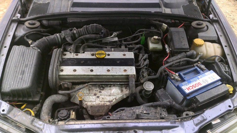 Вектра б 1.8 бензин. Опель Вектра 2.0 1996. Opel Vectra b 1996 2.0. Opel Vectra b подкапотка. Опель Вектра б 2.0 под капотом.