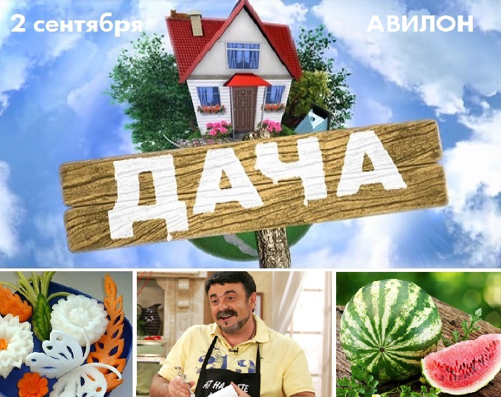 уДачный weekend в АВИЛОН Volkswagen! — Авилон Фольксваген на DRIVE2