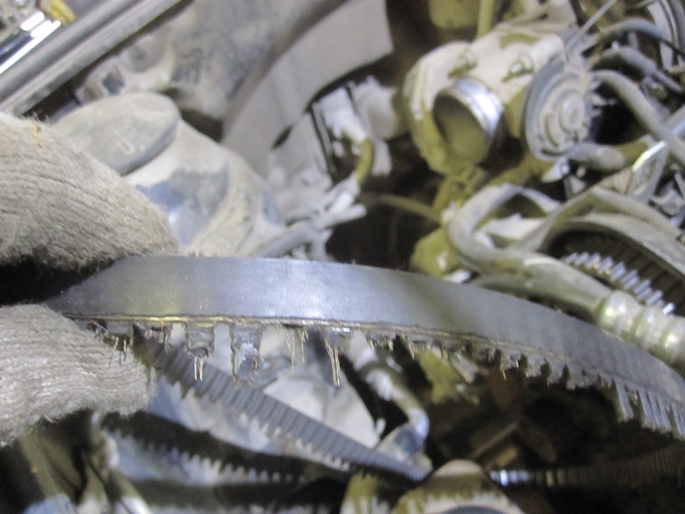 Ремень грм и цепь грм разница. Износ ремня грм. Грм логан 1. Грм логан 1. Ремень грм обрыв что будет.