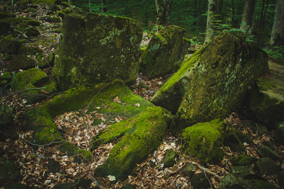 Фото в бортжурнале УАЗ 31512