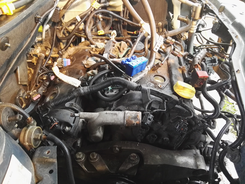 это конечно ад. Учесть, что стоит ГБО, которое вообще мешается сильно — Chevrolet Captiva (1G)