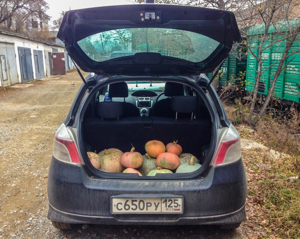 Фото в бортжурнале Toyota Vitz (90)