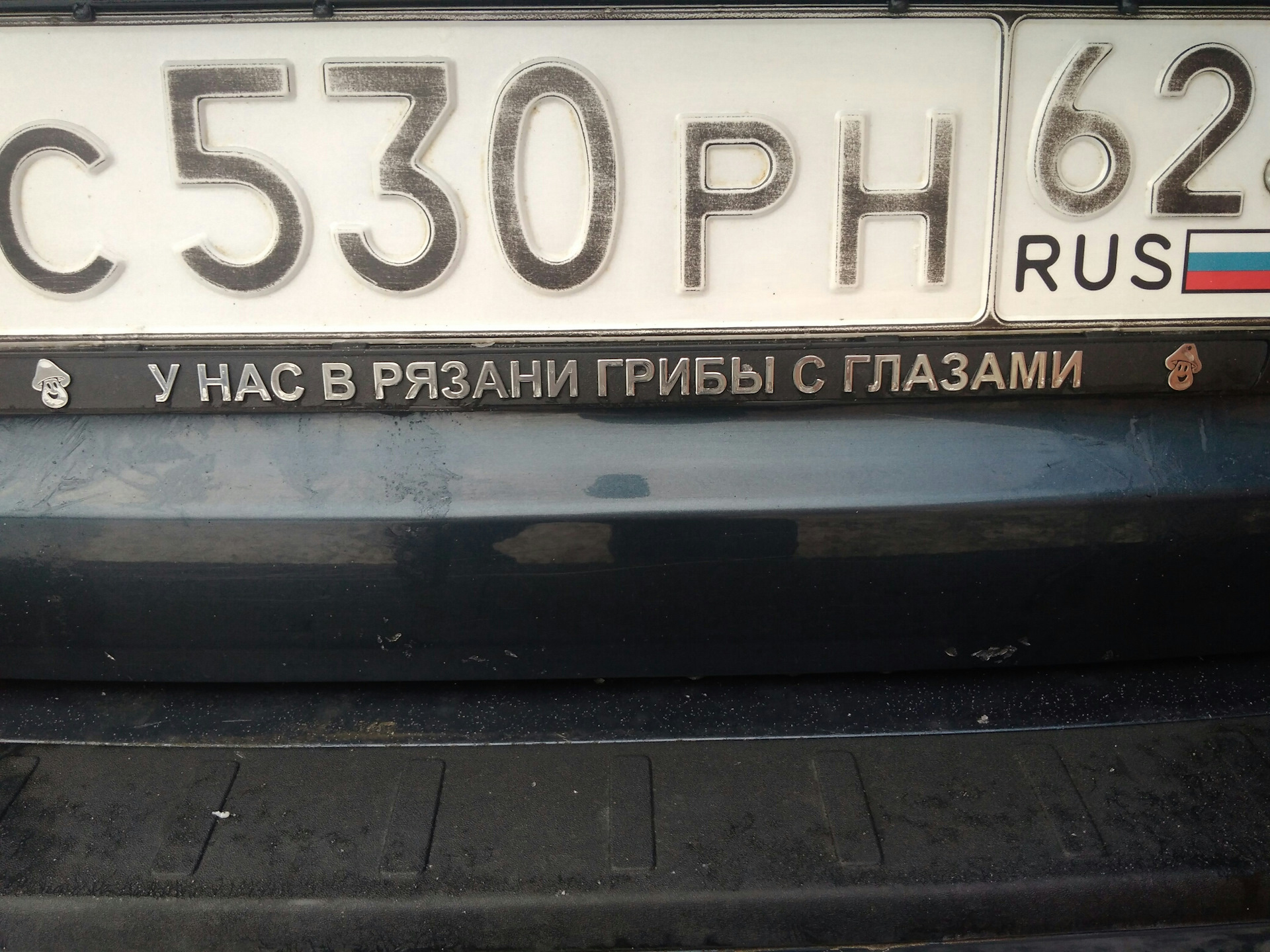 У нас в Рязани грибы с глазами, их едят они глядят!)) — Volvo V70 III, 2,4  л, 2008 года | аксессуары | DRIVE2