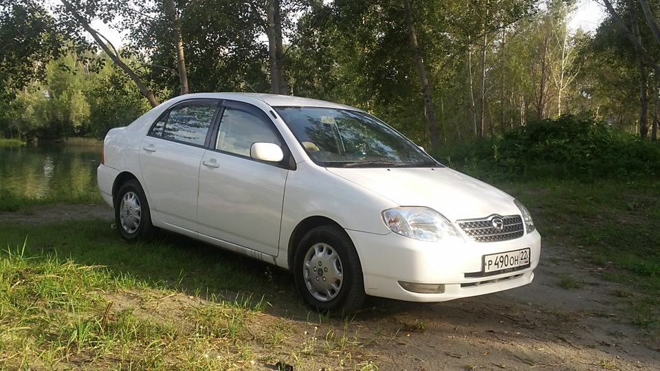 Дром тойота седан. Тойота Королла 120 2000. Тойота Королла 120 белая. Toyota Corolla 120 белая. Тойота Королла 2000-2005.