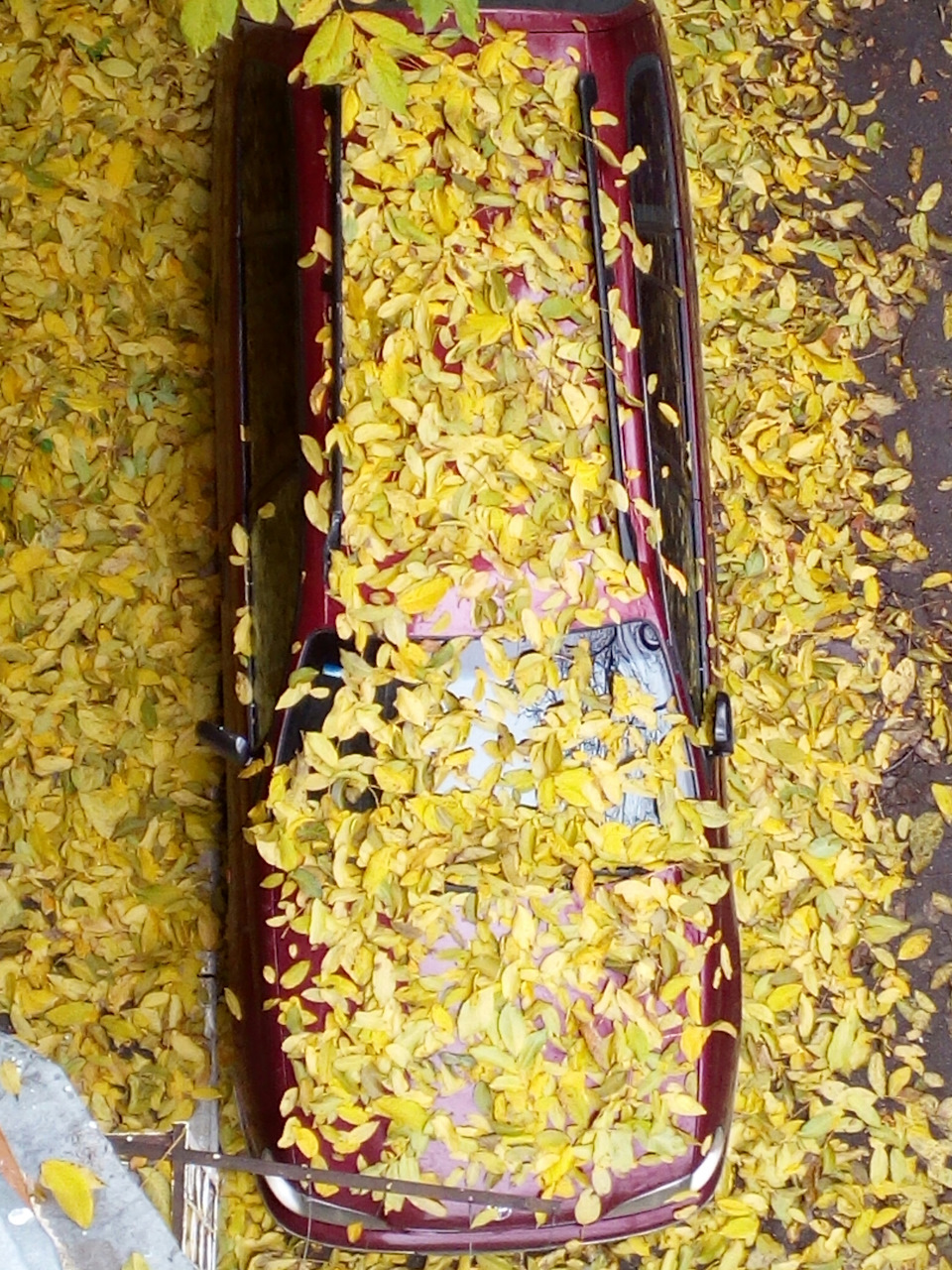 Опять осень — DRIVE2