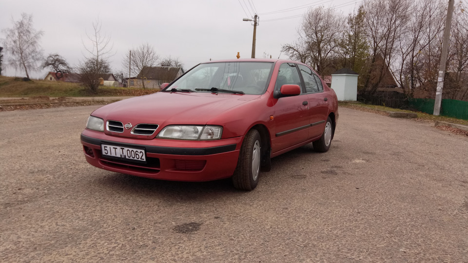 Nissan Primera (P11) 2.0 дизельный 1996 P11 "Rana Esculenta" на DRIVE2