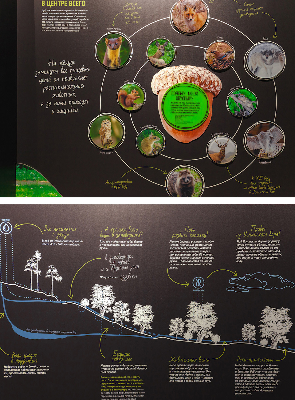 воронежский заповедник история создания. a199945s 960. воронежский заповедник история создания фото. воронежский заповедник история создания-a199945s 960. картинка воронежский заповедник история создания. картинка a199945s 960. Липецкая и Воронежская области воронежский заповедник история создания. a199945s 960. воронежский заповедник история создания фото. воронежский заповедник история создания-a199945s 960. картинка воронежский заповедник история создания. картинка a199945s 960. Липецкая и Воронежская области